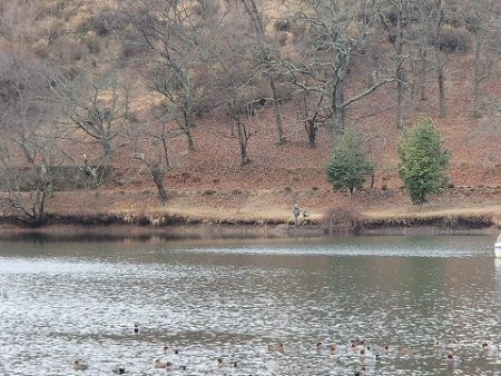 志高湖フィッシング 釣果