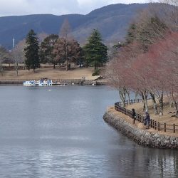 志高湖フィッシング 釣果