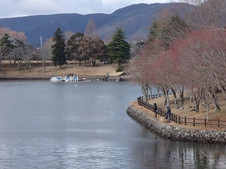 志高湖フィッシング 釣果