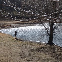 志高湖フィッシング 釣果