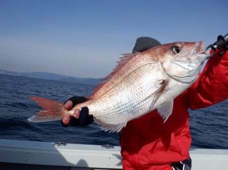 遊漁船 遊友 釣果
