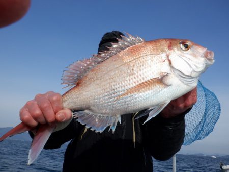 遊漁船 遊友 釣果