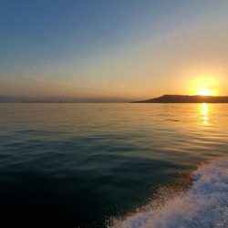 エル・クルーズ 釣果