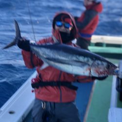 丸万釣船 釣果