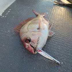 FISHING RISKY 釣果