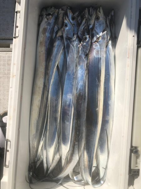 フィッシング　キッタカ 釣果