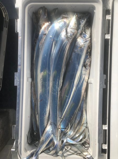 フィッシング　キッタカ 釣果