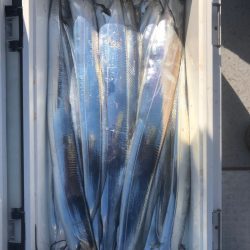 フィッシング　キッタカ 釣果