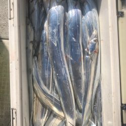 フィッシング　キッタカ 釣果