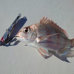 FISHING RISKY 釣果