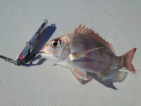 FISHING RISKY 釣果