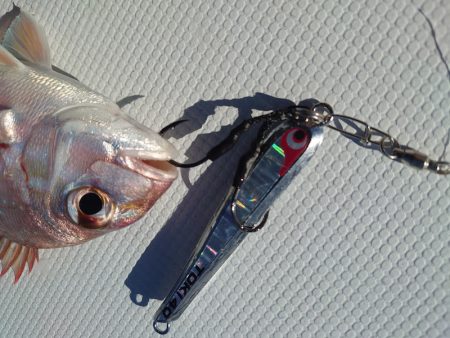 FISHING RISKY 釣果