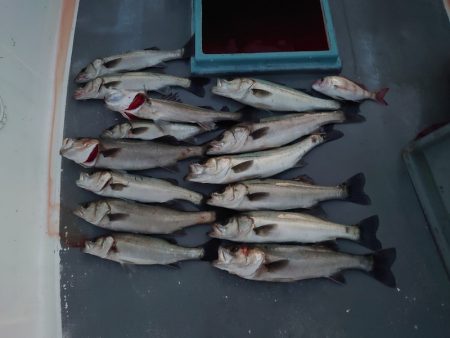 FISHING RISKY 釣果