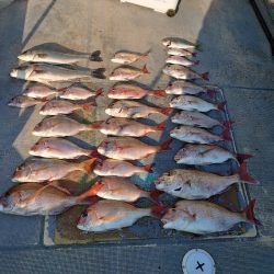 FISHING RISKY 釣果