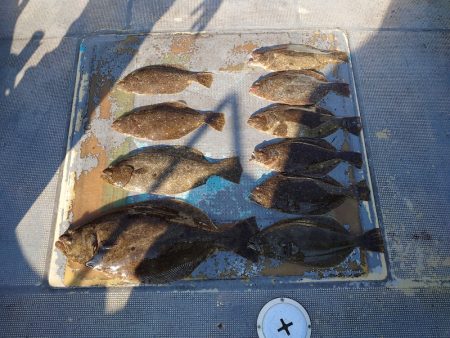 FISHING RISKY 釣果