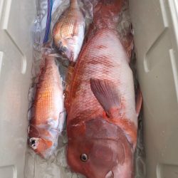 第二八坂丸 釣果