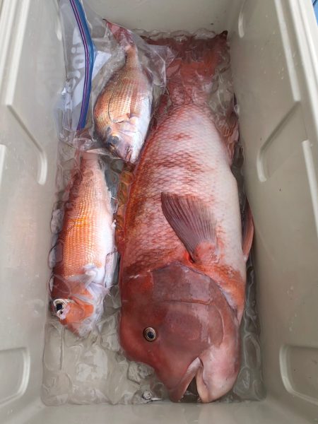 第二八坂丸 釣果