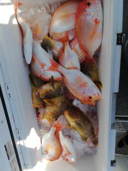 第二大福丸 釣果