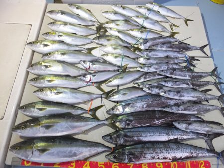 Hit Rush(ヒット ラッシュ） 釣果…