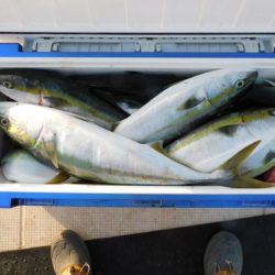 ジギング船 BLUEWATER 釣果