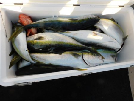 ジギング船 BLUEWATER 釣果