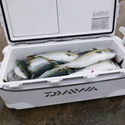 ジギング船 BLUEWATER 釣果