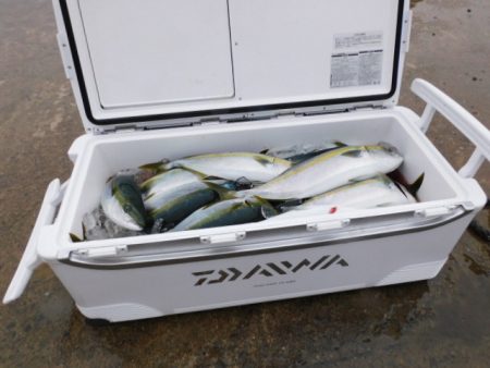 ジギング船 BLUEWATER 釣果