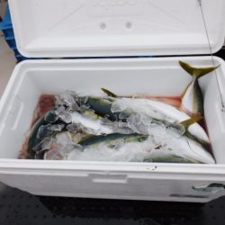 ジギング船 BLUEWATER 釣果