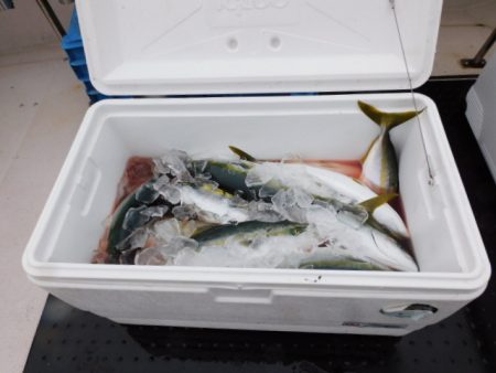 ジギング船 BLUEWATER 釣果