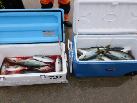 ジギング船 BLUEWATER 釣果