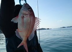 愛裕南丸 釣果