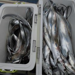 十八宝洋丸 釣果