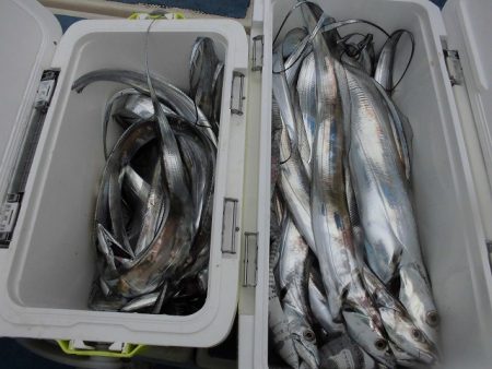 十八宝洋丸 釣果