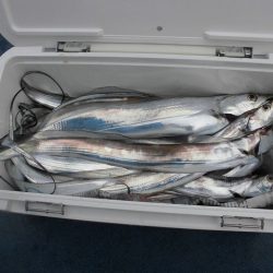 十八宝洋丸 釣果