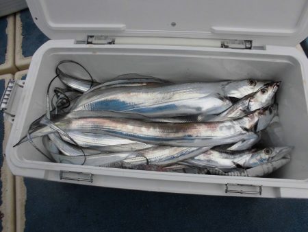 十八宝洋丸 釣果