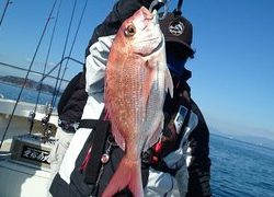 愛裕南丸 釣果