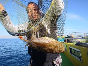 濱生丸 釣果