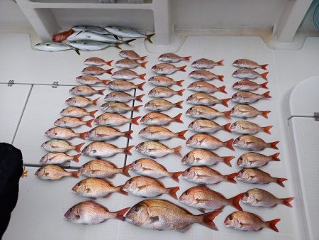 フィッシングボートACE（エース） 釣果