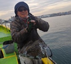 濱生丸 釣果