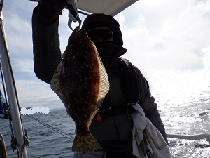 遊漁船 幸友丸 釣果