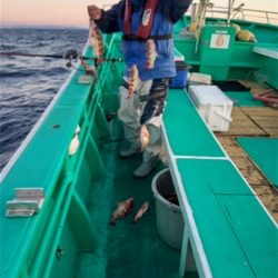 モンロー号 釣果