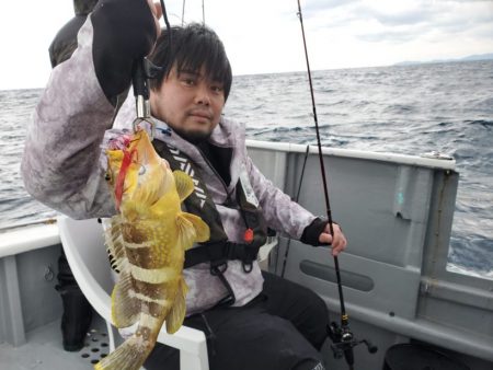 ブルーピア 釣果