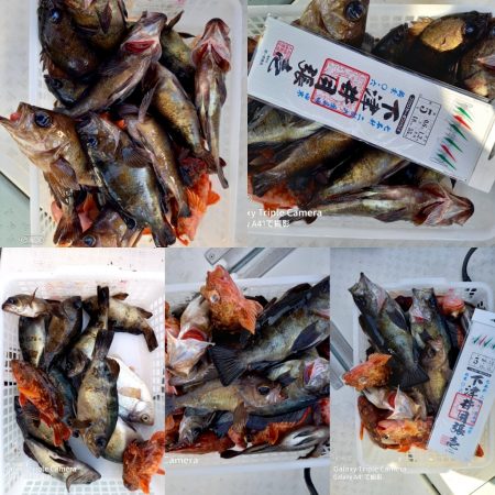 内浜丸 釣果