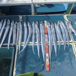 十八宝洋丸 釣果