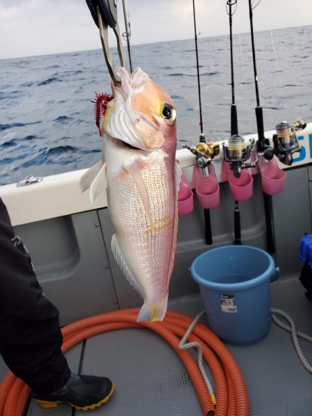珀宝丸 釣果