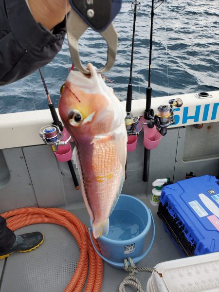 珀宝丸 釣果