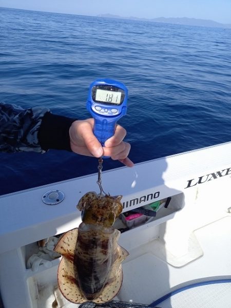 フィッシングボートACE(エース) 釣果