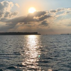 本部釣りイカダ 釣果