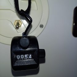 フィッシングボートACE(エース) 釣果