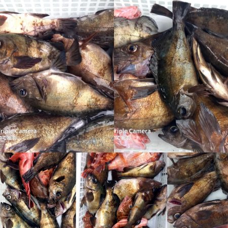 内浜丸 釣果